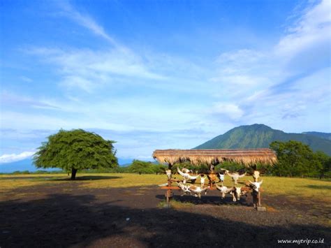 Taman Nasional Baluran