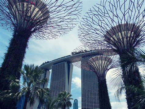 Ultimate Things To Do In Singapore By District The Scrapbook Of Life