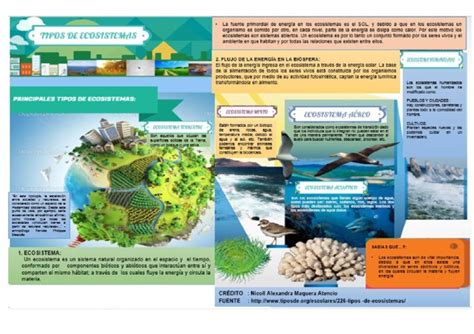 Tipos De Ecosistemas Componentes Características Y Ejemplos Cuadro Comparativo