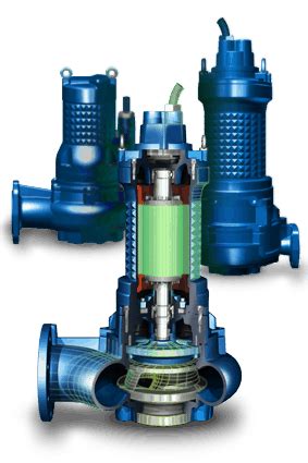 Solve And Save Eng Faggiolati Pumps