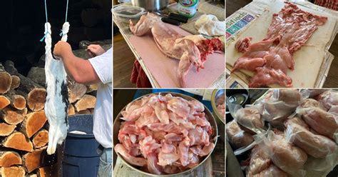 Top Recommended Meat Rabbit Butchering Videos Meat Rabbits