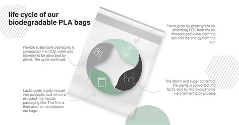 What Are Biodegradable Bags Pla