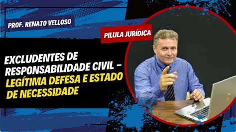 P Lula Jur Dica Excludentes De Responsabilidade Civil Leg Tima Defesa