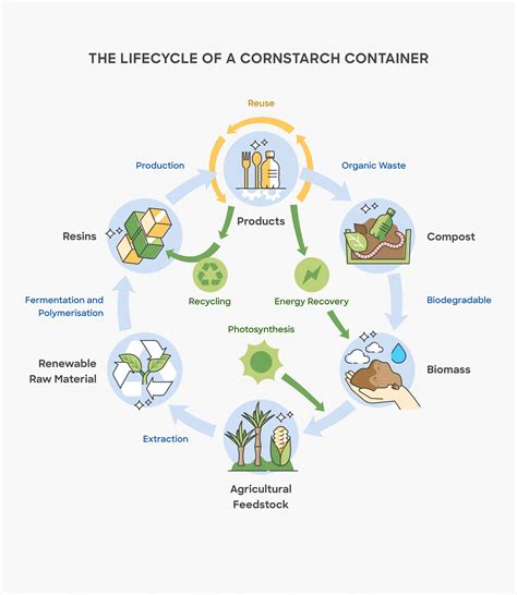 Restaurant Disposable Biodegradable Takeaway Food Container Packaging