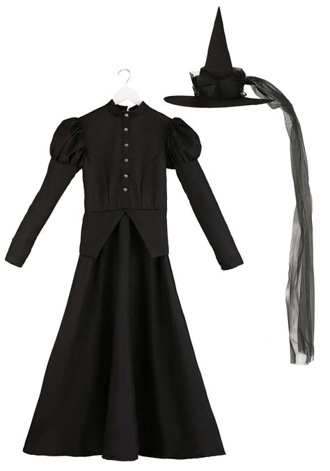 Women S Deluxe Witch Costume Wicked Witch Costume Exclusive