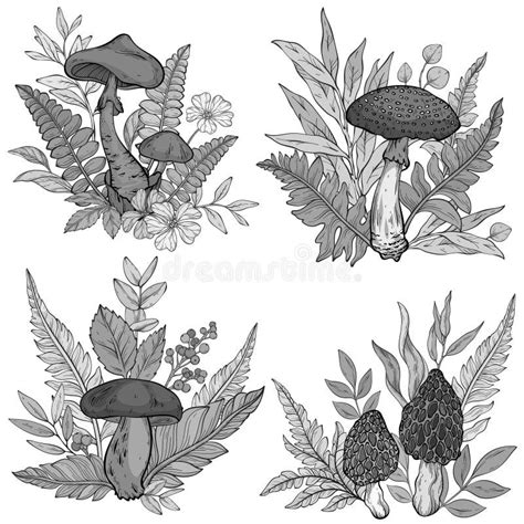 monochrome mushrooms grass  berries ferns stock vector