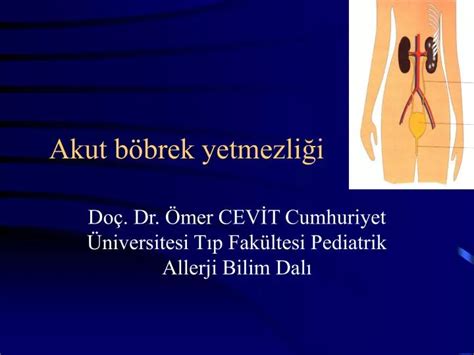 PPT Akut böbrek yetmezliği PowerPoint Presentation free download