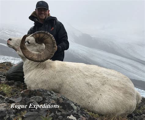 Dall Sheep Hunt Raffle Sci Alaska