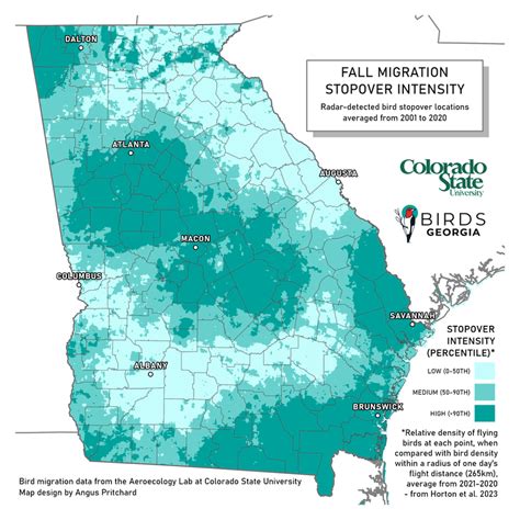 Fall V Spring Migration Stopover Density In Georgia Birds Georgia