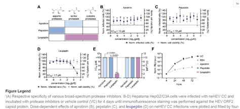 Leupeptin Hemisulfate Cas Mce Hy A Purity