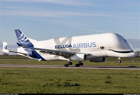 F Gxlj Airbus Transport International Airbus A330 743l Beluga Xl Photo