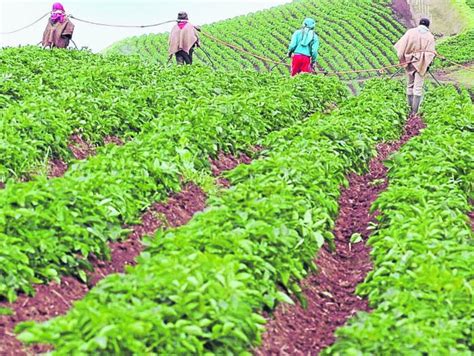 Colombia El País De La Región Más Desigual En Distribución De Tierras