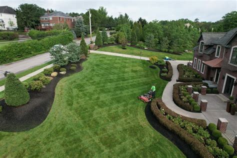 Benefits Of A Professional Lawn Care Company DG Lawn Landscape