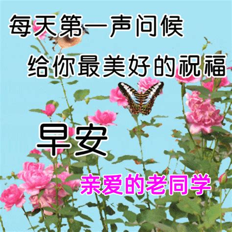 2021年早安祝福精选语句大全，早安，愿你有个美好一天生活