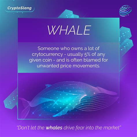 Crypto Whales Cryptocurrency Whales Or Crypto By Xpoverse Medium