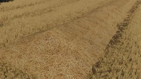 FS22 FS22 New straw texture v 1 0 0 0 Textures Mod für Farming