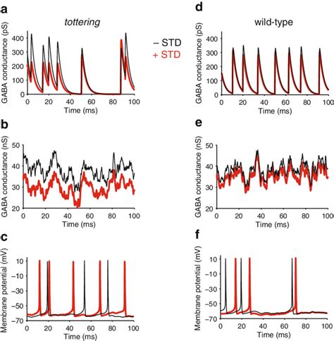 Responses Of The Cn Neuron Model To Spike Trains From Tottering And