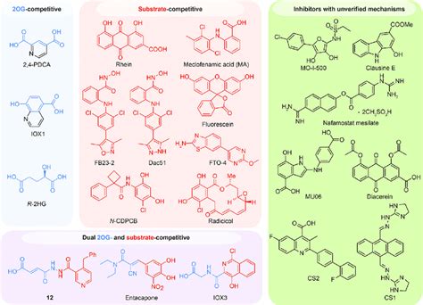 Representative Fto Inhibitors Classified Into Four Groups Based On