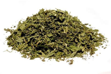 Dried Nettle Leaf Stinging Nettle Urtica Dioica Etsy