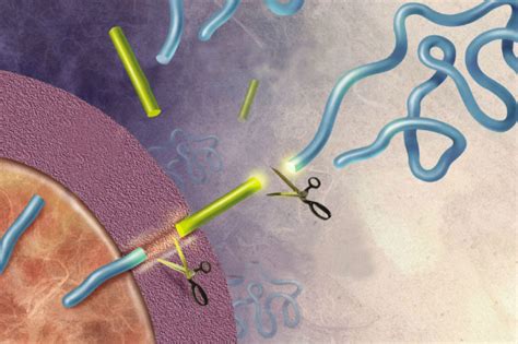 Amyloid Precursor Protein Signals Stem Cells | BioSerendipity