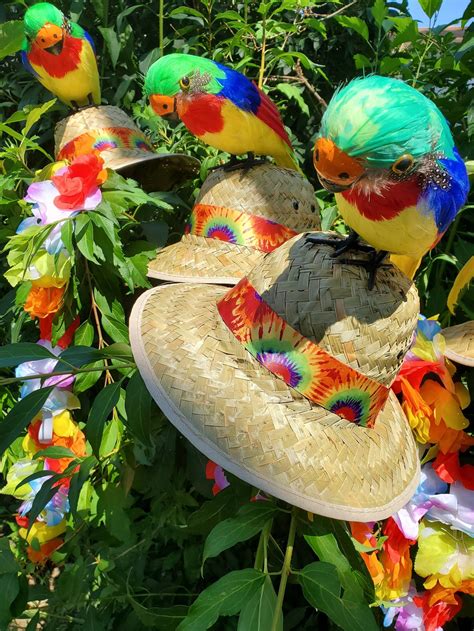 Jimmy Buffett Margaritaville Parrot Head Hat Etsy