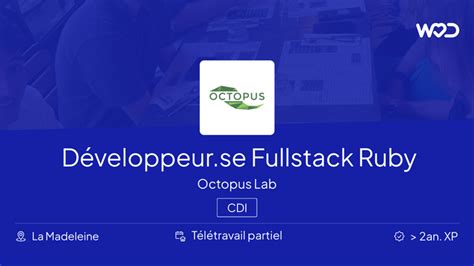 Développeur se Fullstack Ruby H F Octopus Lab Emploi IT