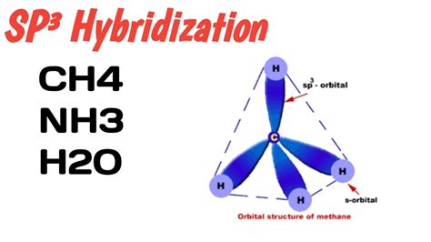 Sp3 Hybridization Class 11 Chemistry Hybridization Of Ch4 Hybridization Of Nh3hybridization