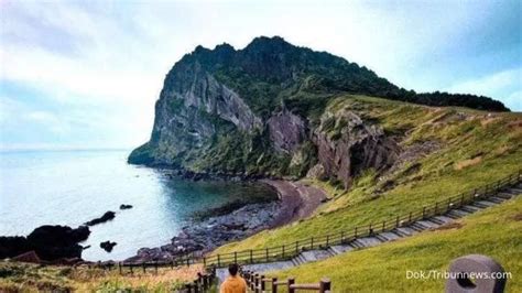 Mau Ke Jeju Jangan Lupa Kunjungi 5 Tempat Wisata Ini Ya