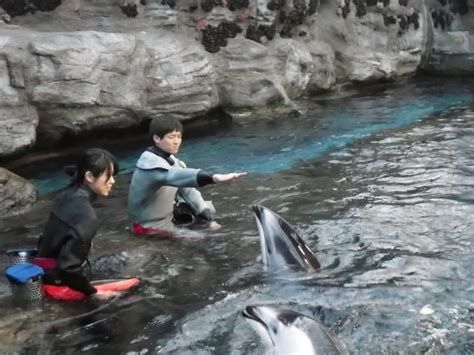 深海の小さな生き物たちvol11｜海遊館とつながる｜海遊館