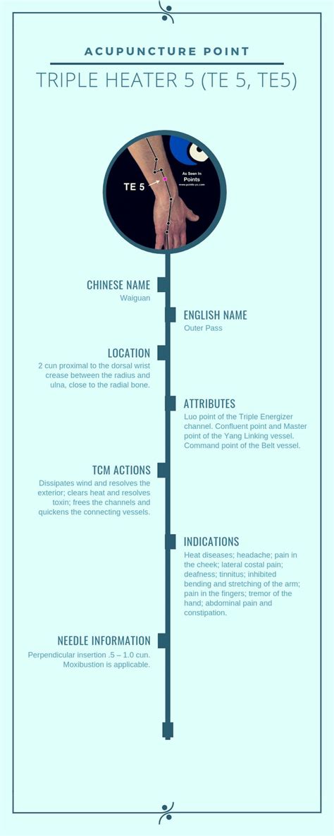 Acupuncture Point Triple Energizer 5 Te 5 Acupuncture Technology