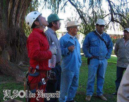 Daniel Rivas ofrece capacitación para la poda correcta de arboles El