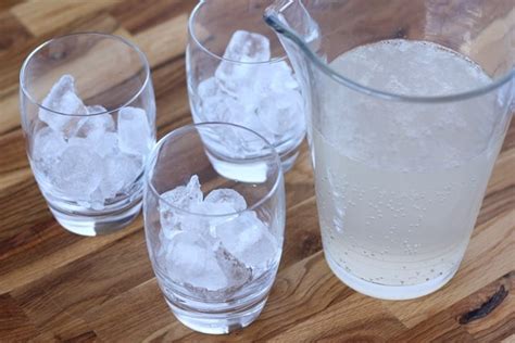 Homemade Grapefruit Soda - Barefeet in the Kitchen