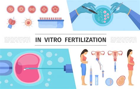 Conceito Científico De Fertilização In Vitro Vetor Grátis