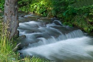 lotic system running water | Nature, Ecosystems, Water