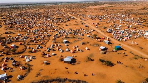 El Clima Extremo Y La Guerra Matan De Hambre A Somalia Licoreta