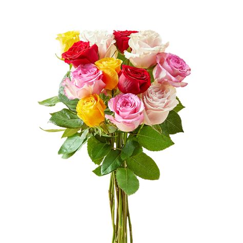 Fresh Cut Roses Products Delivery Or Pickup Near Me Instacart