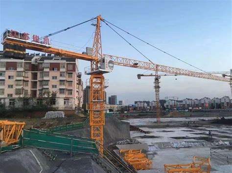 Qtz Series Ton Ton Topless Tower Crane For Construction China