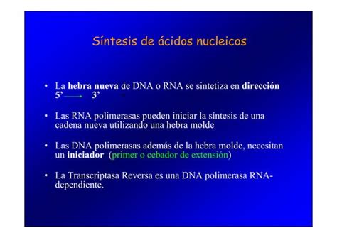 Pcr Y Electroforesis Biociencias 2010 Pdf Ppt Descarga Gratuita