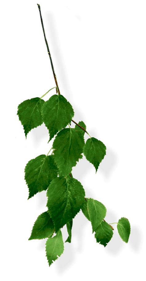 Шадринская минеральная вода