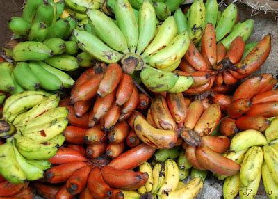 View thru My Global Lens: Red Bananas