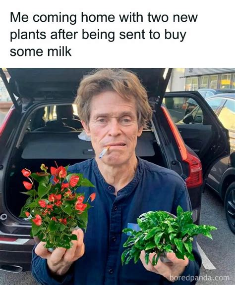 30 Hilarious Memes That Might Hit Too Close To Home For People Who Can’t Just Go Past A Plant ...