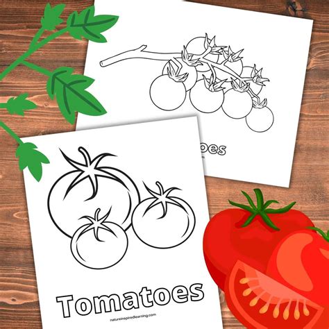 19 Tomato Coloring Pages AnnmarieEira