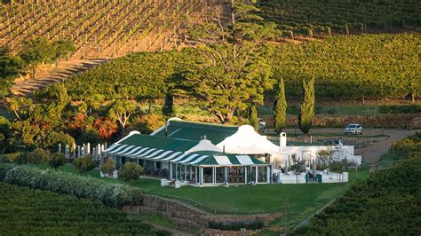 constantia glen wine farm cape  good wine