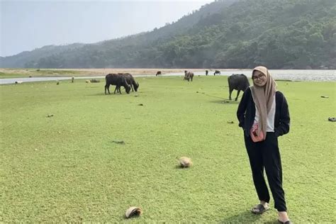 5 Pantai Di Trenggalek Ini Cocok Untuk Menikmati Libur Akhir Tahun