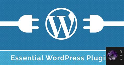 10 Essential Wordpress Plugins Every Website Needs Infographic