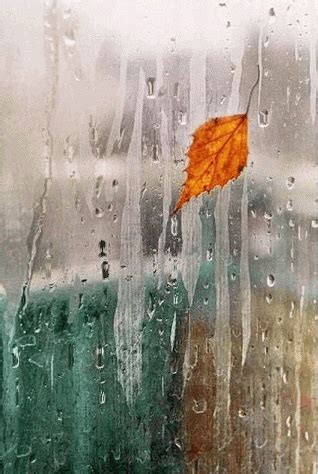 rain fall pictures   images  facebook tumblr pinterest