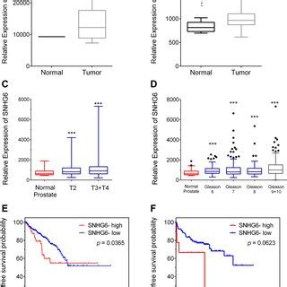 SNHG6 Is Upregulated In PCa And Associated With Poor Prognosis A And B