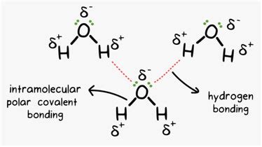 Hydrogen Bonding [Definition, Properties, Examples, and Applications]