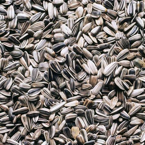 health benefits  sunflower seeds