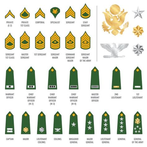 Military Rank Vector Images (over 13,000)